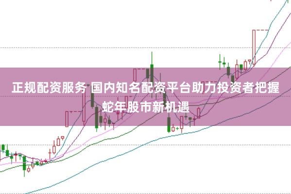 正规配资服务 国内知名配资平台助力投资者把握蛇年股市新机遇
