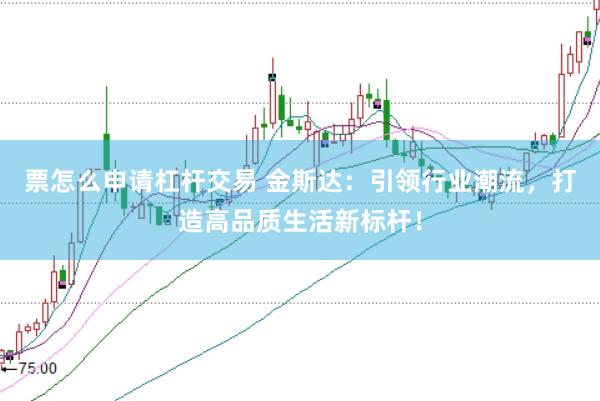 票怎么申请杠杆交易 金斯达：引领行业潮流，打造高品质生活新标杆！
