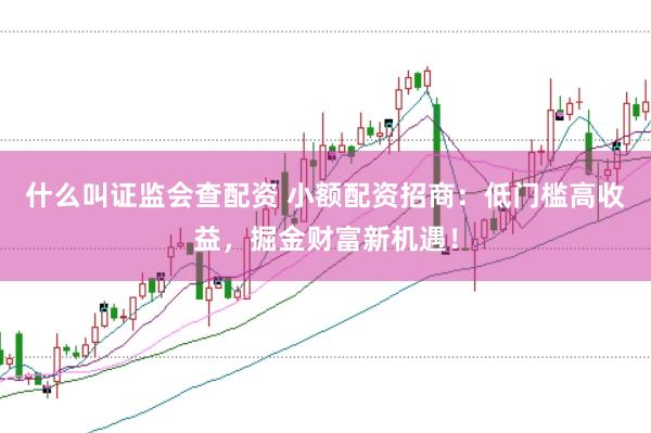 什么叫证监会查配资 小额配资招商：低门槛高收益，掘金财富新机遇！
