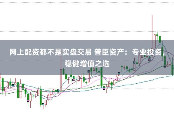 网上配资都不是实盘交易 普臣资产：专业投资，稳健增值之选