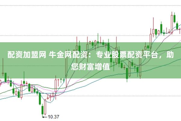 配资加盟网 牛金网配资：专业股票配资平台，助您财富增值