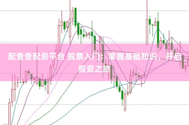 配查查配资平台 股票入门：掌握基础知识，开启投资之旅
