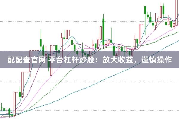 配配查官网 平台杠杆炒股：放大收益，谨慎操作