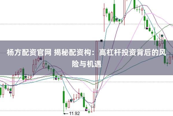 杨方配资官网 揭秘配资构：高杠杆投资背后的风险与机遇